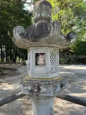 出雲伊波比神社(埼玉県)