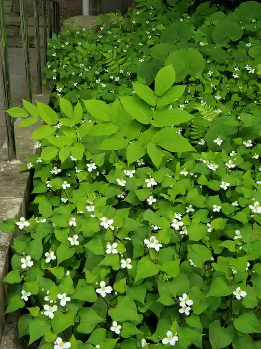 豊景神社(福島県)