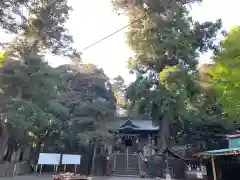 川尻八幡宮の自然