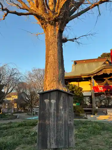 大洞院(千葉県)