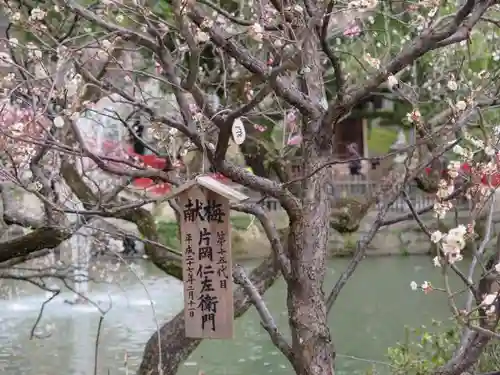 太宰府天満宮の庭園