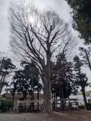 諏訪社(神奈川県)