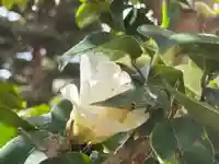 西方山極楽寺(岐阜県)