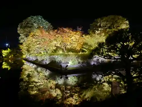 東寺（教王護国寺）の{uncategorized: "未分類", other: "その他", undefined: "問題あり", building: "その他建物", grave: "お墓", sacred_gate: "鳥居", guardian: "狛犬", statue: "像", buddha: "仏像", history: "歴史", nature: "自然", garden: "庭園", animal: "動物", pagoda: "塔", temizu: "手水舎", mountain_gate: "山門・神門", sanctuary: "本殿・本堂", subordinate: "末社・摂社", art: "芸術", scenery: "景色", jizo: "地蔵", ema: "絵馬", goshuin: "御朱印", omikuji: "おみくじ", items: "授与品その他", amulet: "お守り", goshuincho: "御朱印帳", eats: "食事", festival: "お祭り", votive_dance: "神楽", shichigosan: "七五三参", wedding: "結婚式", experience: "体験その他", initially: "初詣", around: "周辺", anti_infection: "感染症対策"}