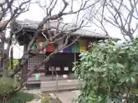 雨宝院(京都府)