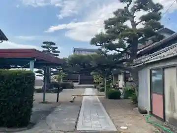 空善寺の{uncategorized: "未分類", other: "その他", undefined: "問題あり", building: "その他建物", grave: "お墓", sacred_gate: "鳥居", guardian: "狛犬", statue: "像", buddha: "仏像", history: "歴史", nature: "自然", garden: "庭園", animal: "動物", pagoda: "塔", temizu: "手水舎", mountain_gate: "山門・神門", sanctuary: "本殿・本堂", subordinate: "末社・摂社", art: "芸術", scenery: "景色", jizo: "地蔵", ema: "絵馬", goshuin: "御朱印", omikuji: "おみくじ", items: "授与品その他", amulet: "お守り", goshuincho: "御朱印帳", eats: "食事", festival: "お祭り", votive_dance: "神楽", shichigosan: "七五三参", wedding: "結婚式", experience: "体験その他", initially: "初詣", around: "周辺", anti_infection: "感染症対策"}