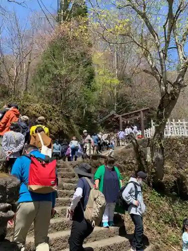 戸隠神社奥社の鳥居