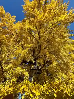 丹生酒殿神社(和歌山県)
