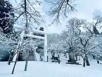 土津神社|こどもと出世の神さまの鳥居