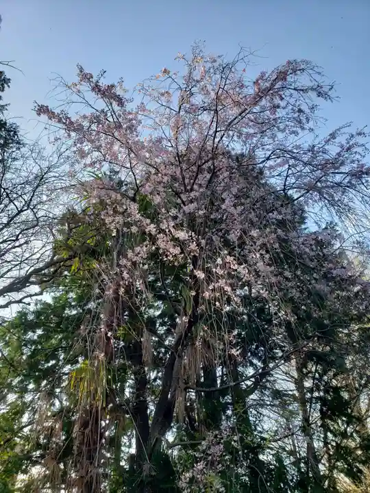 宝福寺(東京都)
