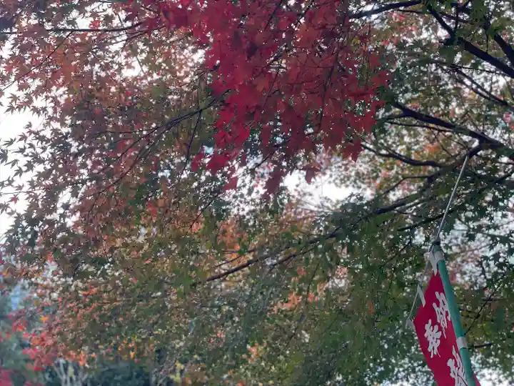 関善光寺(岐阜県)