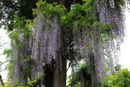 古峯神社の庭園