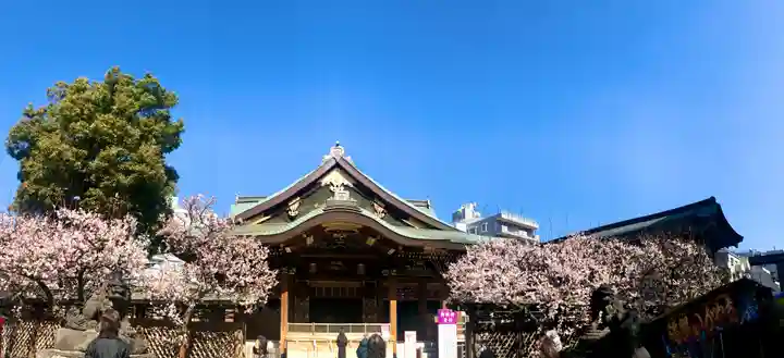 湯島天満宮の本殿・本堂