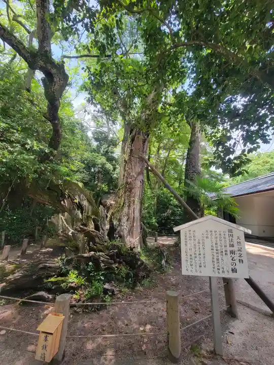大山祇神社(愛媛県)