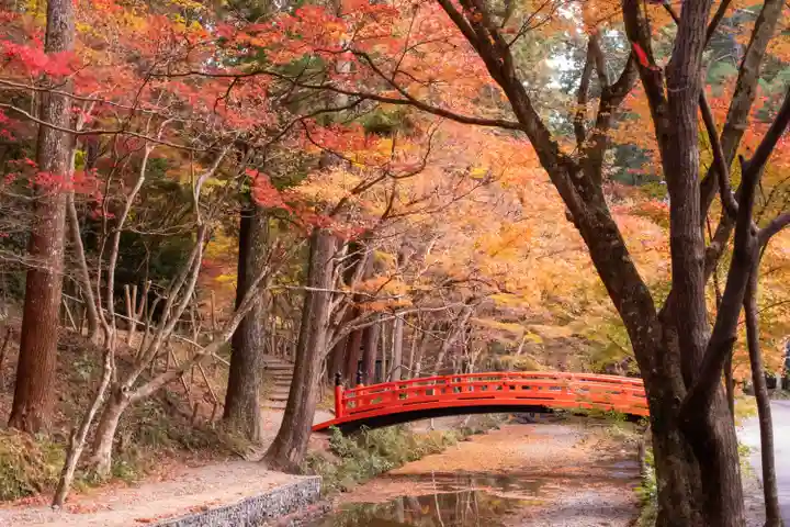 小國神社(静岡県)
