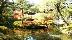 慈照寺（慈照禅寺・銀閣寺）の庭園