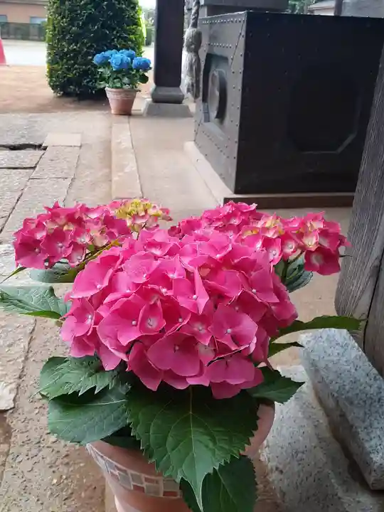 伏木香取神社の自然