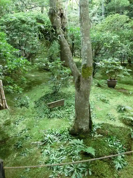 祇王寺(京都府)