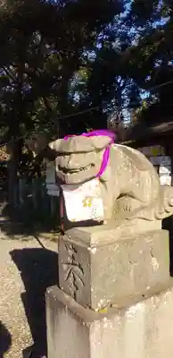 菊田神社の狛犬