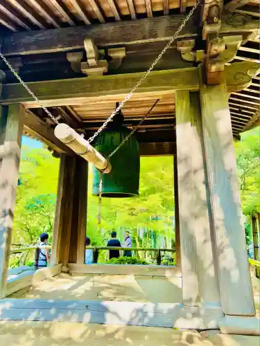 報国寺(神奈川県)