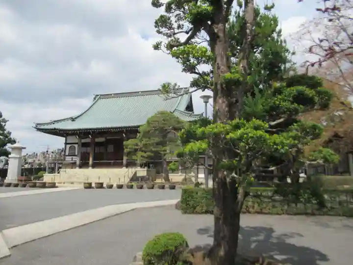 円福寺(東京都)