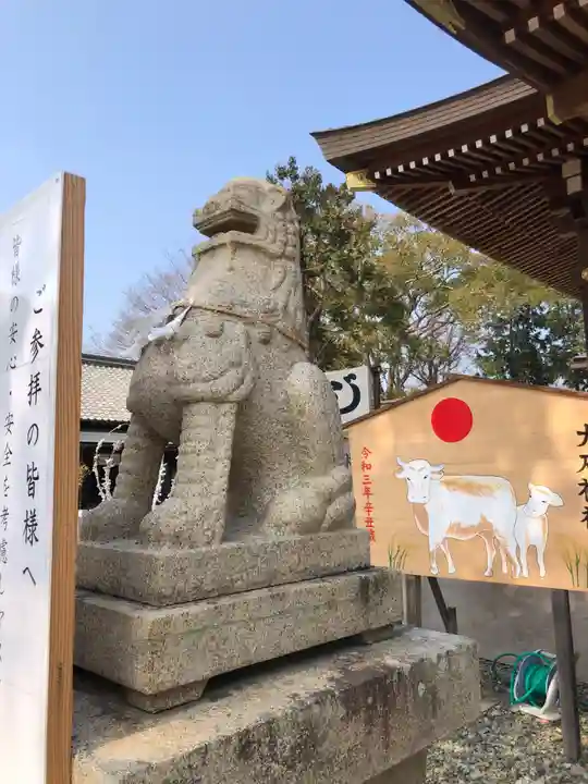赤穂大石神社の狛犬