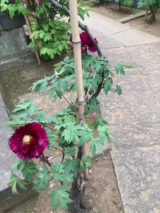 聖輪寺(東京都)