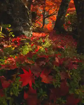 石道寺(滋賀県)
