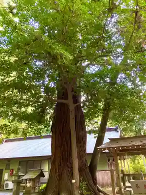 鴨鳥五所神社(茨城県)