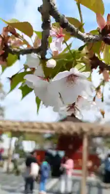 旗上弁財天社の{uncategorized: "未分類", other: "その他", undefined: "問題あり", building: "その他建物", grave: "お墓", sacred_gate: "鳥居", guardian: "狛犬", statue: "像", buddha: "仏像", history: "歴史", nature: "自然", garden: "庭園", animal: "動物", pagoda: "塔", temizu: "手水舎", mountain_gate: "山門・神門", sanctuary: "本殿・本堂", subordinate: "末社・摂社", art: "芸術", scenery: "景色", jizo: "地蔵", ema: "絵馬", goshuin: "御朱印", omikuji: "おみくじ", items: "授与品その他", amulet: "お守り", goshuincho: "御朱印帳", eats: "食事", festival: "お祭り", votive_dance: "神楽", shichigosan: "七五三参", wedding: "結婚式", experience: "体験その他", initially: "初詣", around: "周辺", anti_infection: "感染症対策"}
