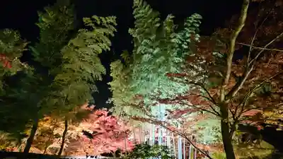 宝厳院(京都府)