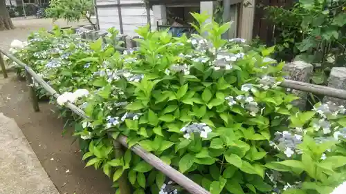 日吉八王子神社の庭園