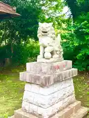 小坂熊野神社の狛犬