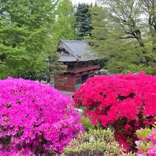 根津神社の自然