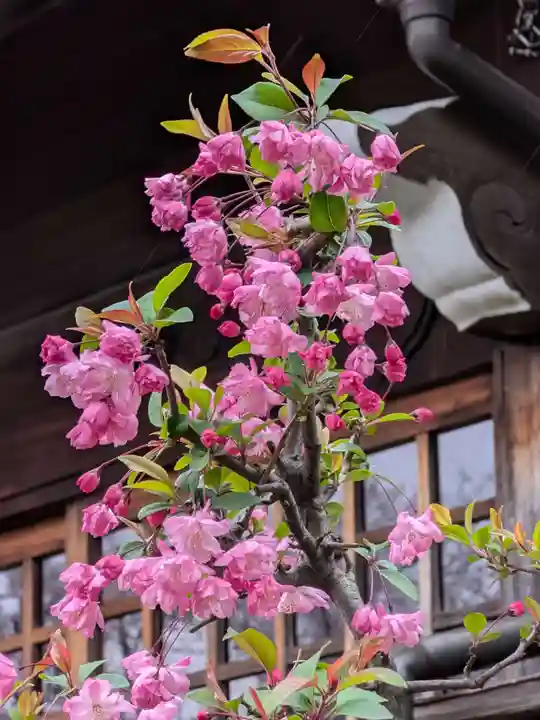 本郷氷川神社(東京都)
