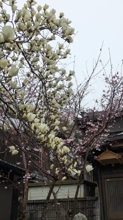 蓮経寺(滋賀県)