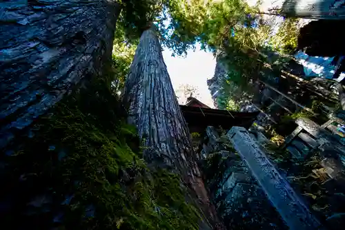 榛名神社の自然