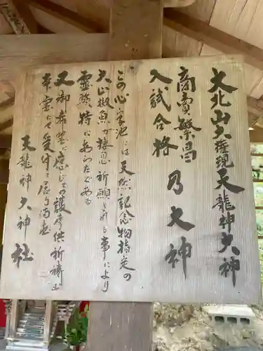 天龍神大神社(京都府)