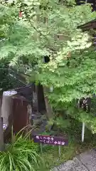 行田八幡神社の庭園