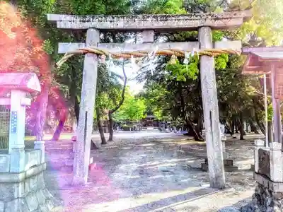 熱田神社（養父熱田神社）の鳥居