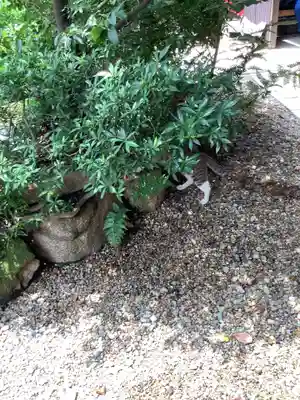 三輪神社のその他建物