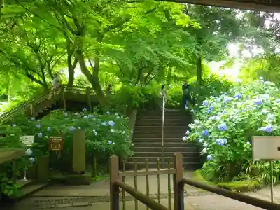 明月院のその他建物