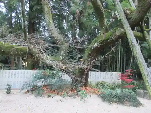 三角寺(愛媛県)