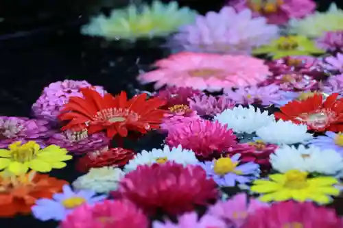 大鏑神社の手水