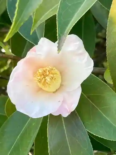 荘嚴浄土寺(大阪府)