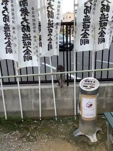 正栄寺の動物