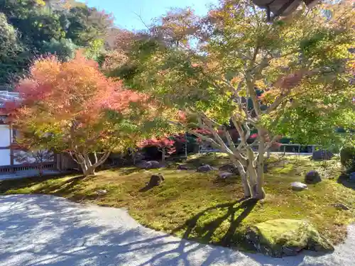 長壽寺（長寿寺）(神奈川県)