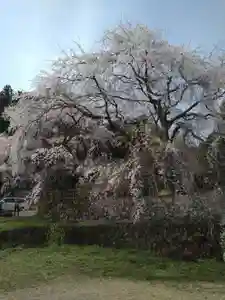 石内のお大師さん 金剛院(広島県)(2023年04月01日(土) 23時02分53秒投稿)