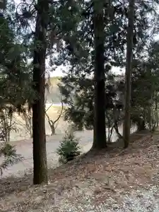 大宮温泉神社(栃木県)(2024年02月10日(土) 08時20分48秒投稿)