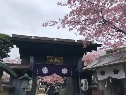 密藏院の山門・神門